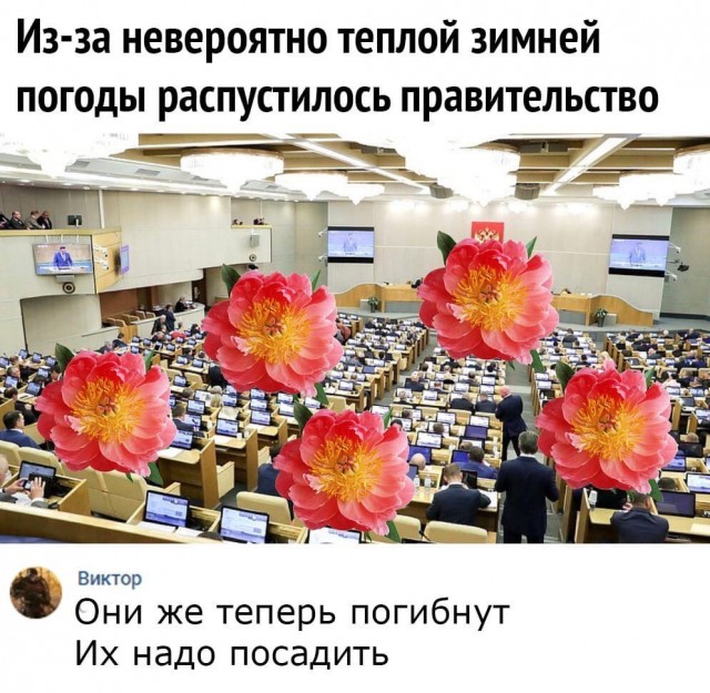 О конституции в свете последних событий