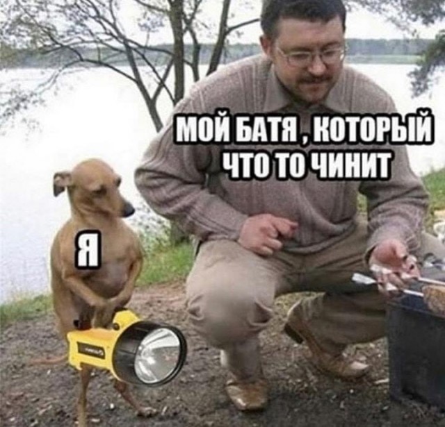 «Картинки разные нужны, картинки разные важны!» ©