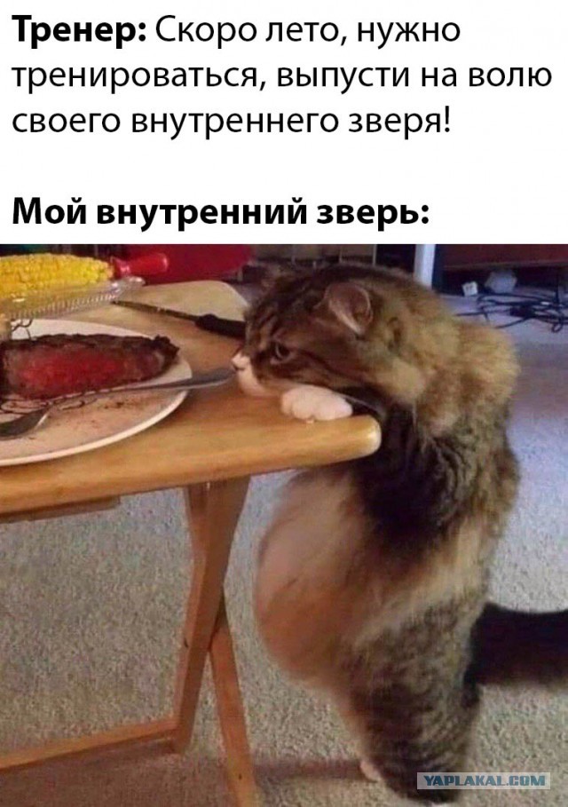 Бредзона 03.03.2020
