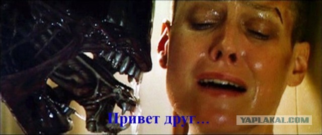 Друзья! я бросил пить спиртное и отметил это дело! (Пашкетт)