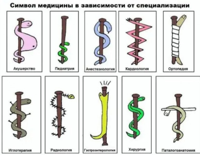 Бредзона 23.05.20