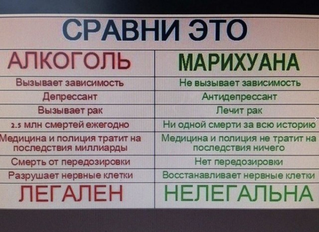 Может все таки легалайз? Война гораздо хуже!