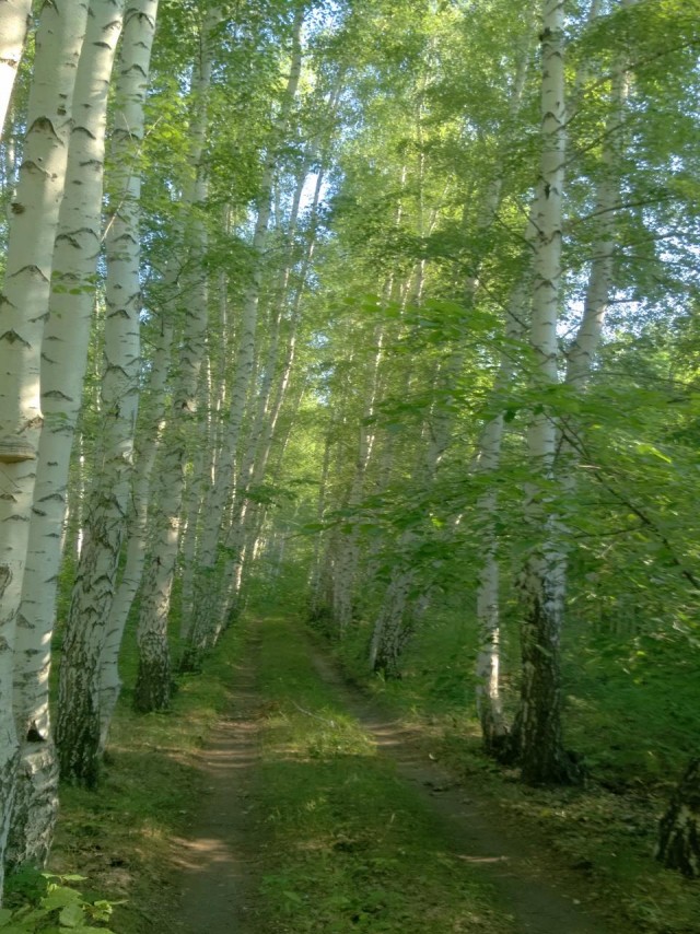 Прогулка по Волге