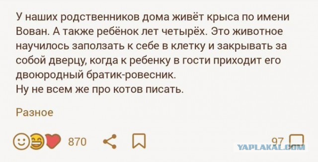 Бредзона 16.08.20
