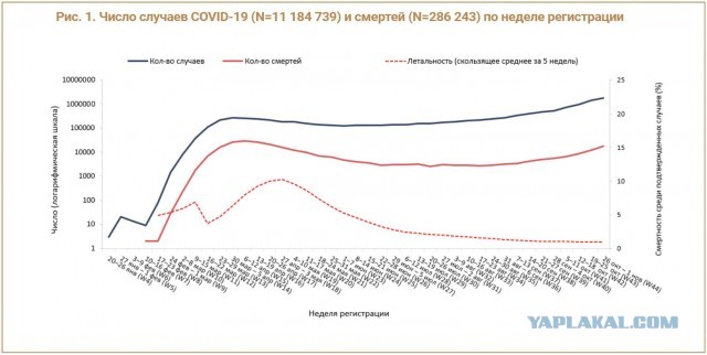 Грипп статистика сегодня