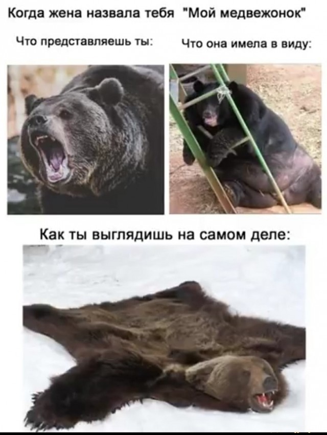 Картинки с надписями и всякие жизненные фразы 9.01.21