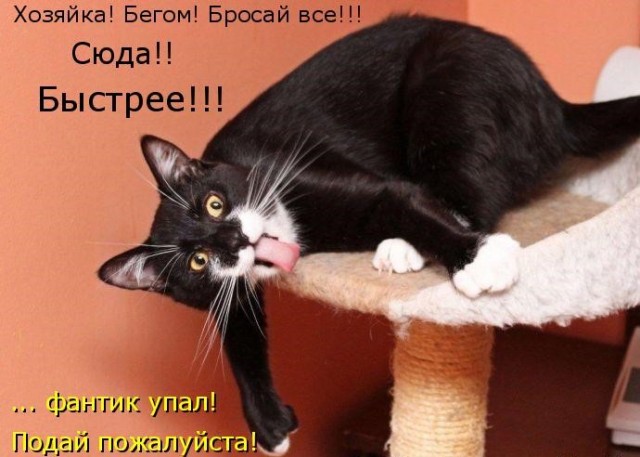 Бредзона 06.02.21