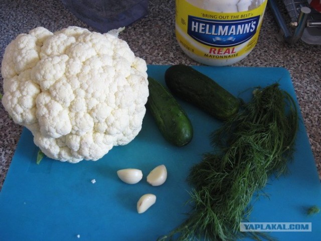 Капуста International, Наступила осень, отцвела капуста...