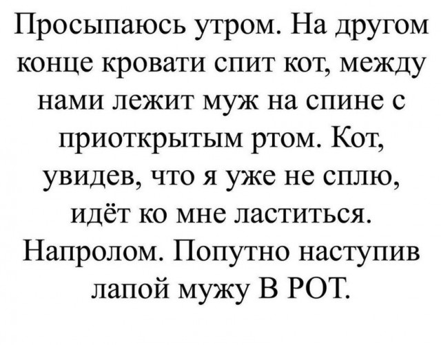 Так себе картинки 12.09.21