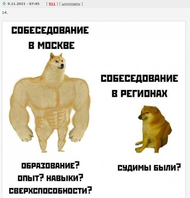 Весёлый полтишок 09.11