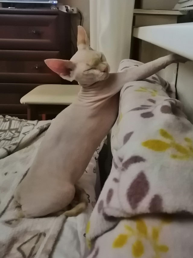 Вторник. Котэ. Пора