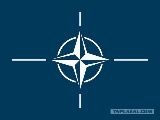 СМИ: Финляндия и Швеция вместе подадут заявки в НАТО на будущей неделе