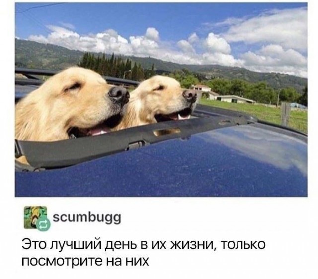 Так себе картинки 30.05.22