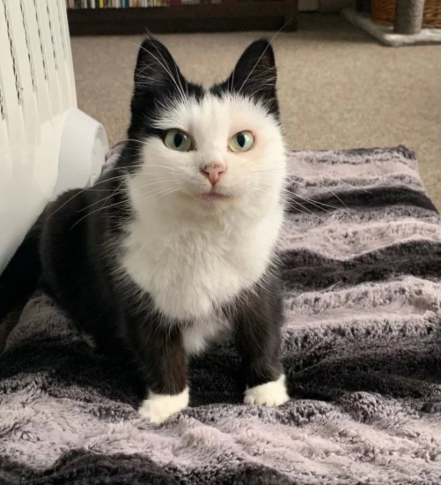 Так себе картинки 14.07.22