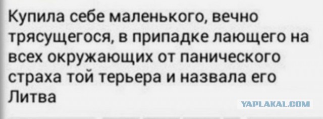 Салют Литва