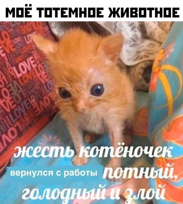 Немного картинок для настроения - 123