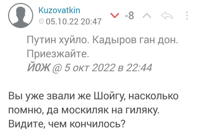 Кадыровцы пообещали разобраться в российских регионах с каждым, кто оскорбит Путина