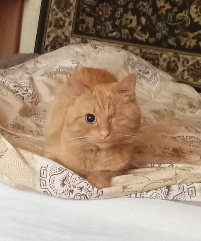Зверье