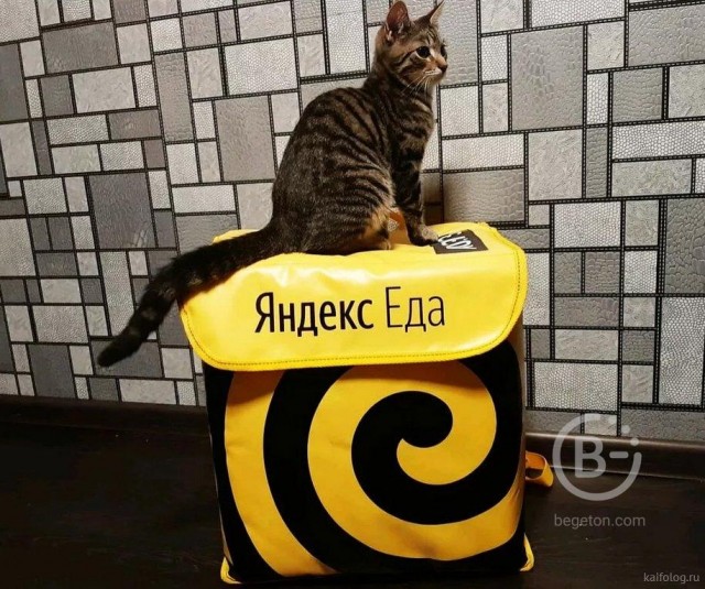 История одного заказа