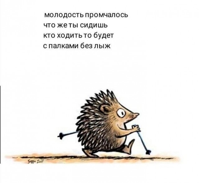 Немного картинок для настроения - 139