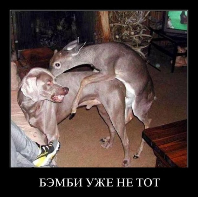 Народная меДИЧина 7033