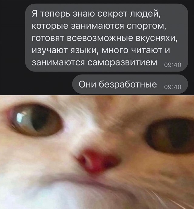 Так себе картинки 14.05.23