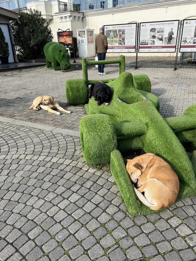 Буду жаловаться