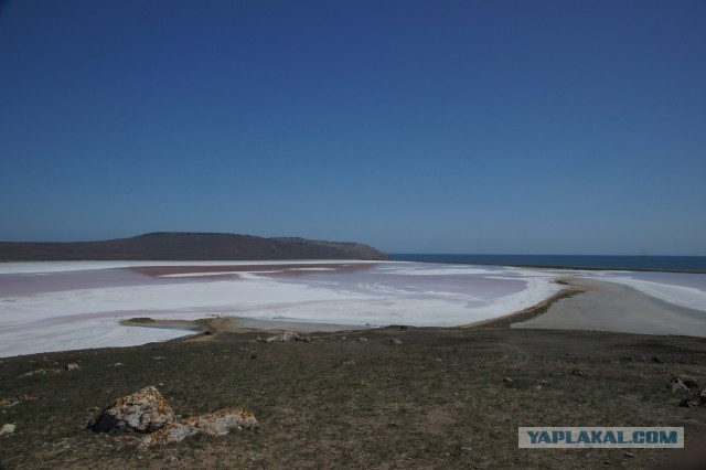 Почему в Мертвое море необходимо заходить вперед спиной