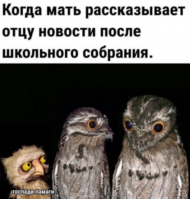 Улыбательные картинки и тексты.