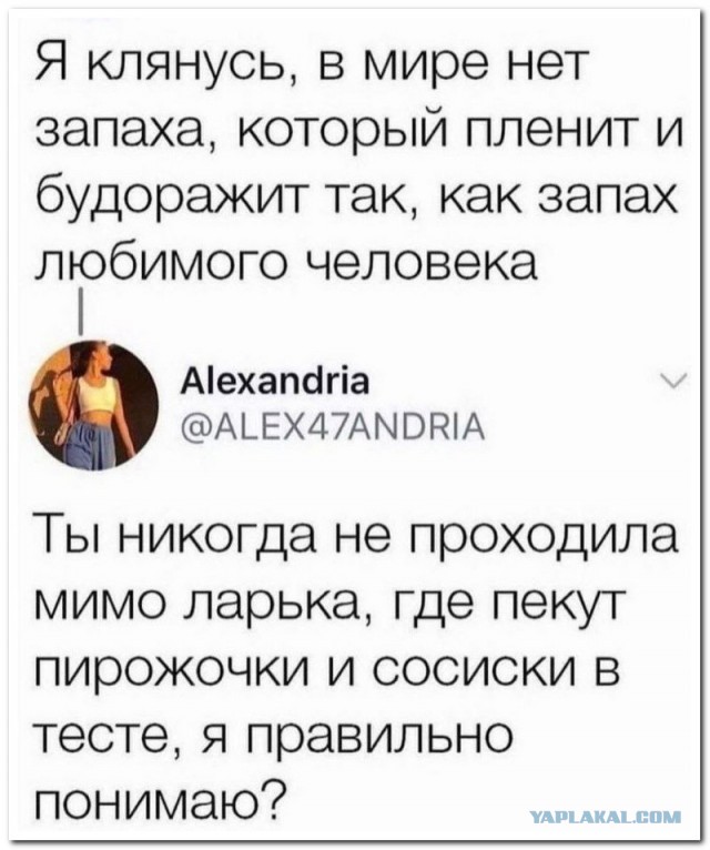 Забавные комментарии из социальных сетей (11.12.23)