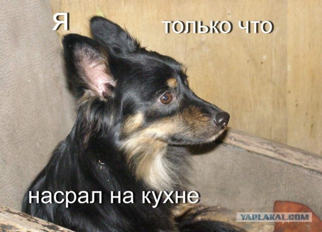 А что если?