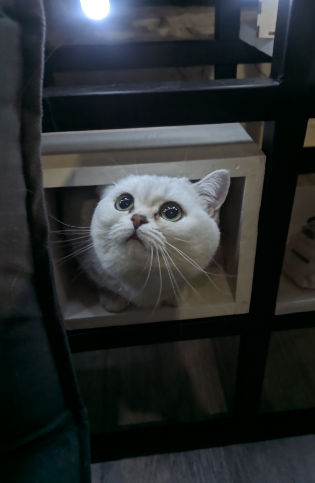 Дратути