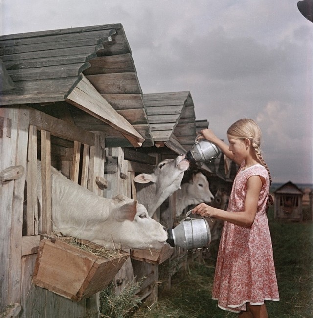 Интересные и редкие ретро-фотографии 17.06.24