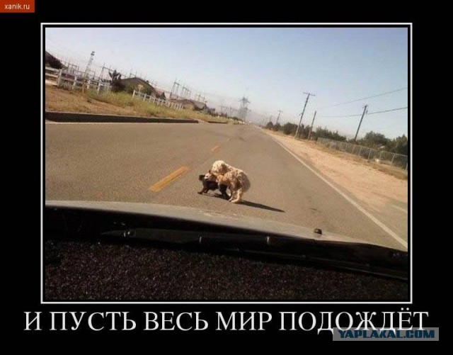 Просьба не смеяться!