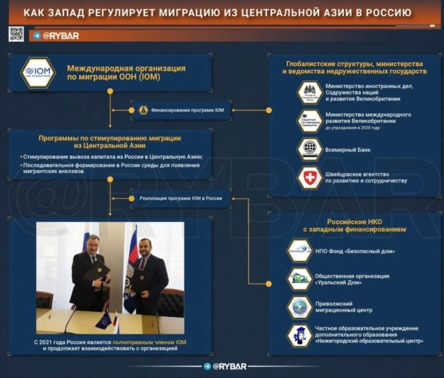 Как Запад регулирует миграцию из Средней Азии в Россию