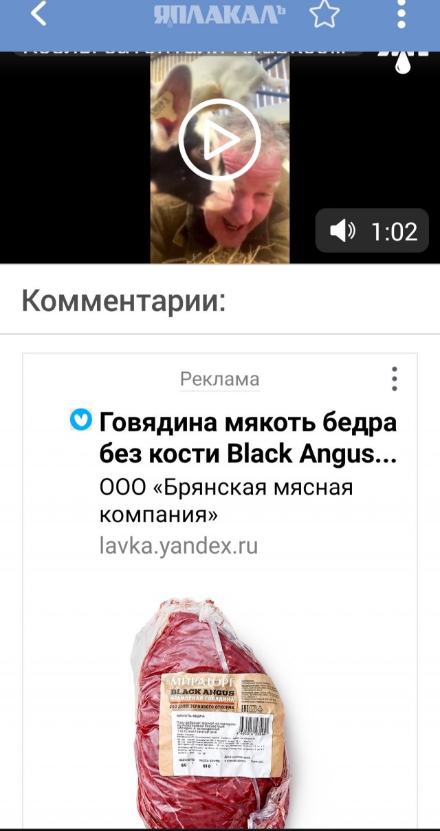 Козлы затоптали Кларксона