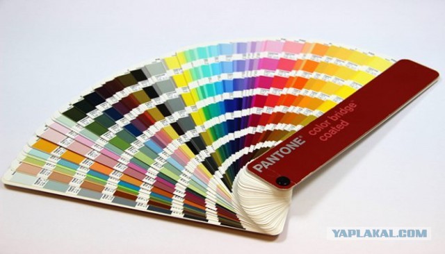 Pantone объявил главный оттенок будущего года — им стал Mocha Mousse