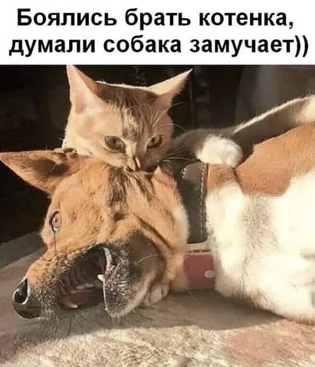 Завалялось тут случайно немного забавных картинок