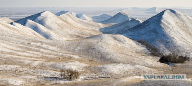 Хребет Дракона в Оренбургской области (фото)