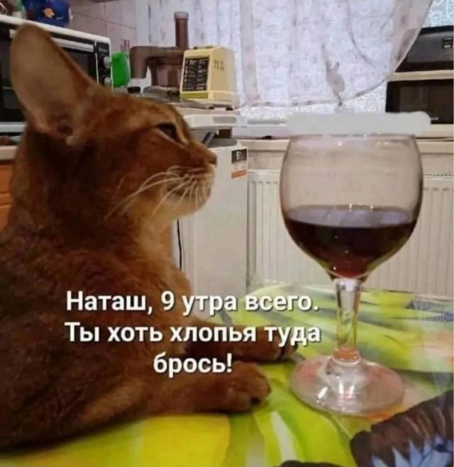 Завалялось тут случайно немного забавных картинок