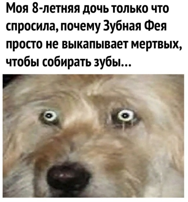 Быстрая деградация