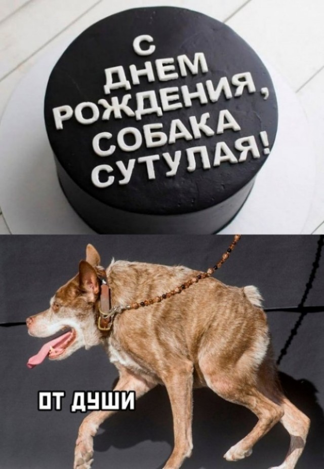 Так себе картинки   "Финал"
