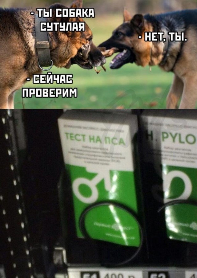 Веселые картинки в среду, практически пятницу 30.04