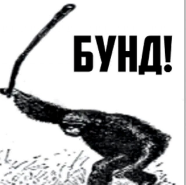 Неспортивная борьба — на турнире во Владикавказе по неизвестным причинам произошел массовый замес