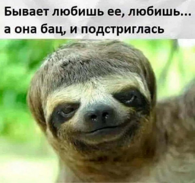 Веселые картинки в маленькую пятницу (14.05)