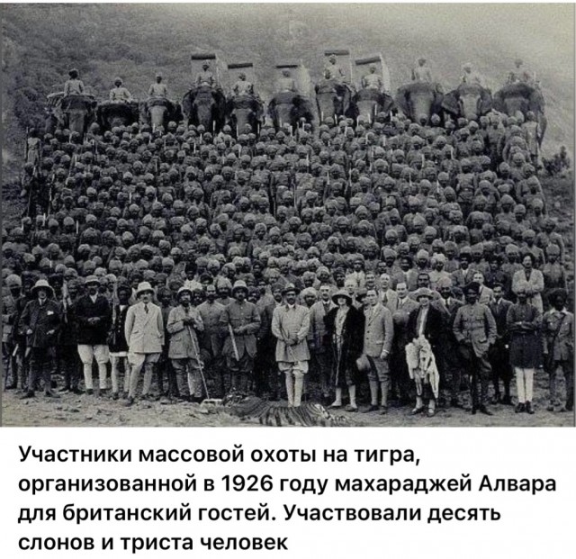 Фотографии о прошлом, открывающие историю с новой стороны 17.07.25