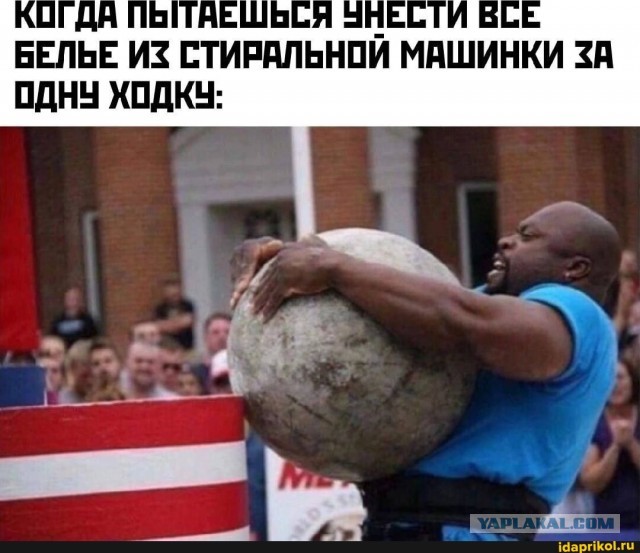 Так себе картинки 29.07.25