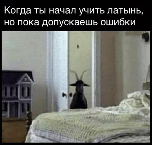 Веселые картинки в понедельник (25.08)