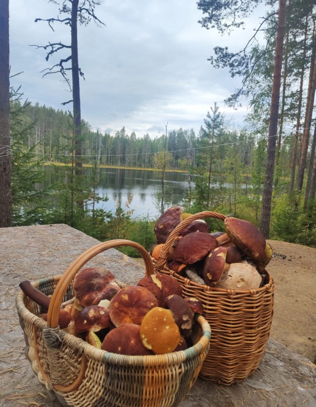 И снова об охоте,тихой