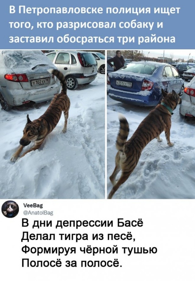 Веселые картинки в первый день октября (01.10)